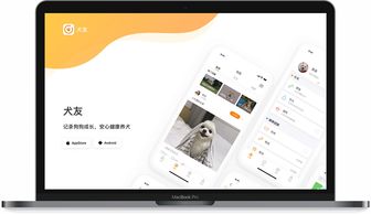 指尖上的藝術(shù) 探索網(wǎng)頁與網(wǎng)站設(shè)計(jì)作品小集